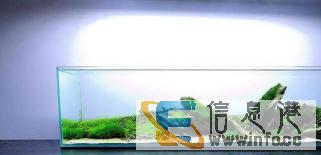 水族服务价格面议天然趣鱼缸清洗草缸海水超白缸海鲜池