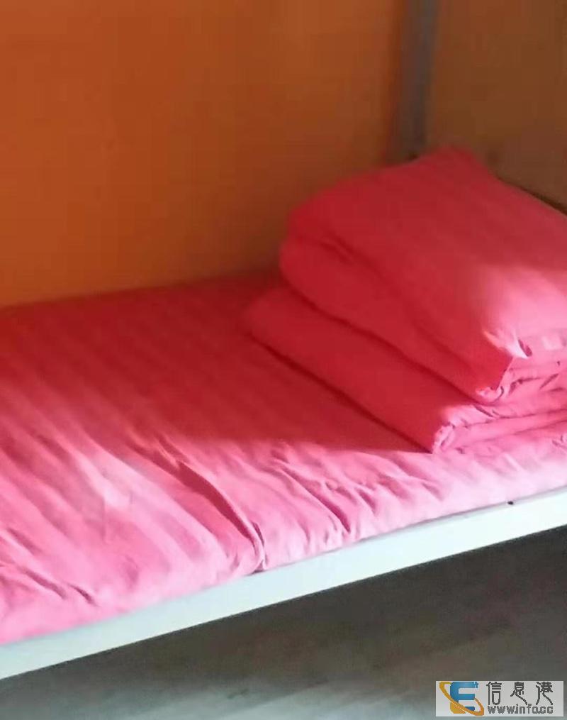 双井 百环家园男女生床位出租,无中介费百环家园百环家园