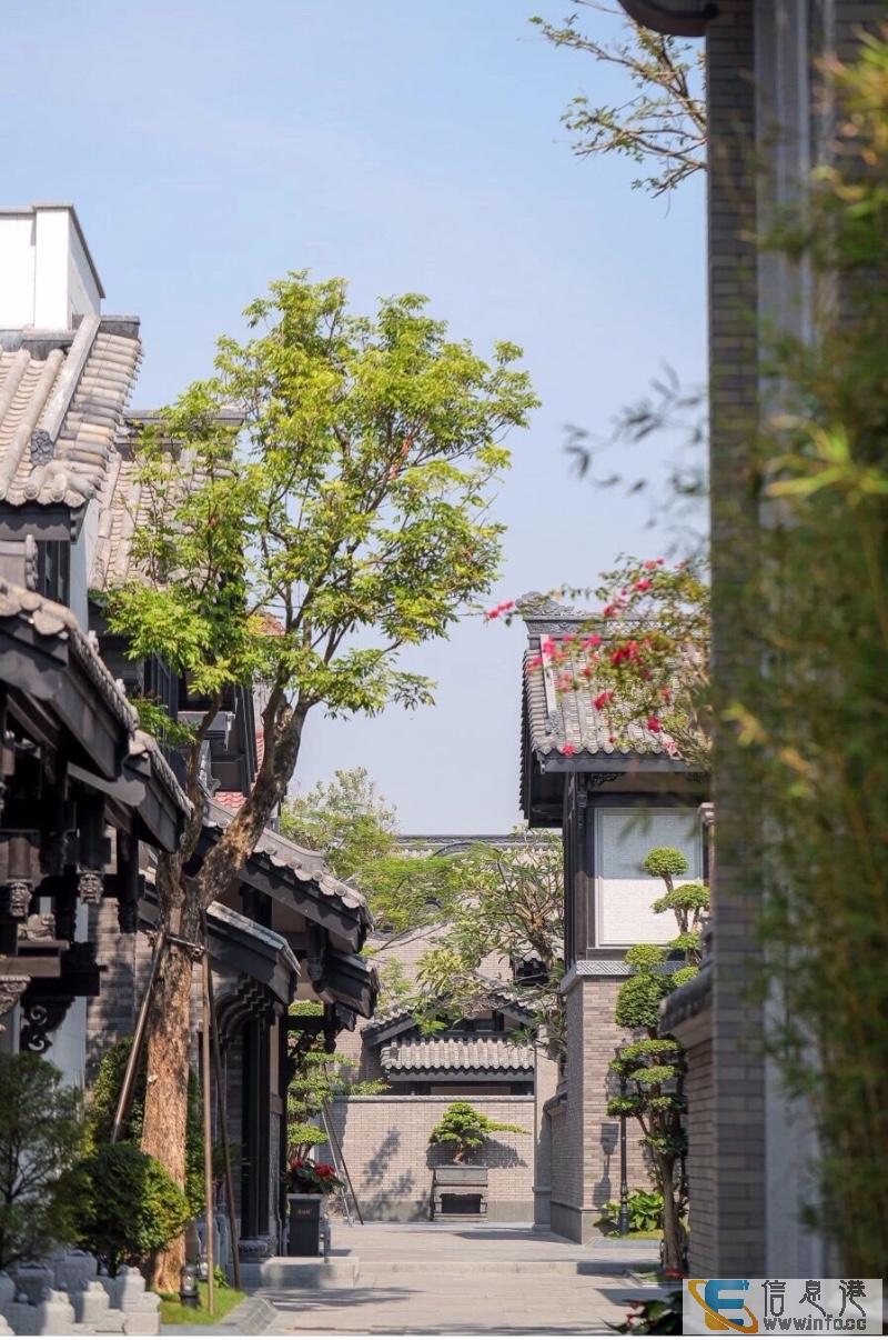 国际级横琴新区,购置房产,粤港澳大湾区 自贸区 国际旅游岛香