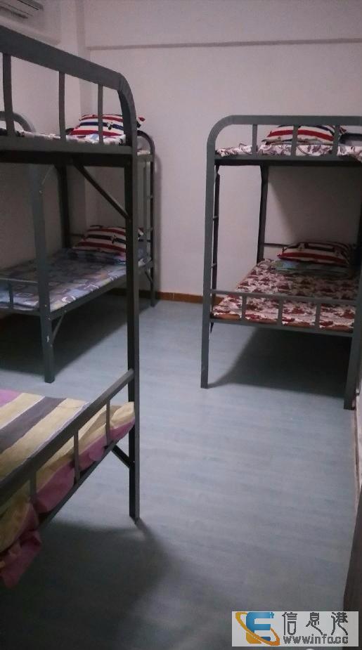 房东直租环境优美光线充足短租月租床位上下铺出租拎包入住