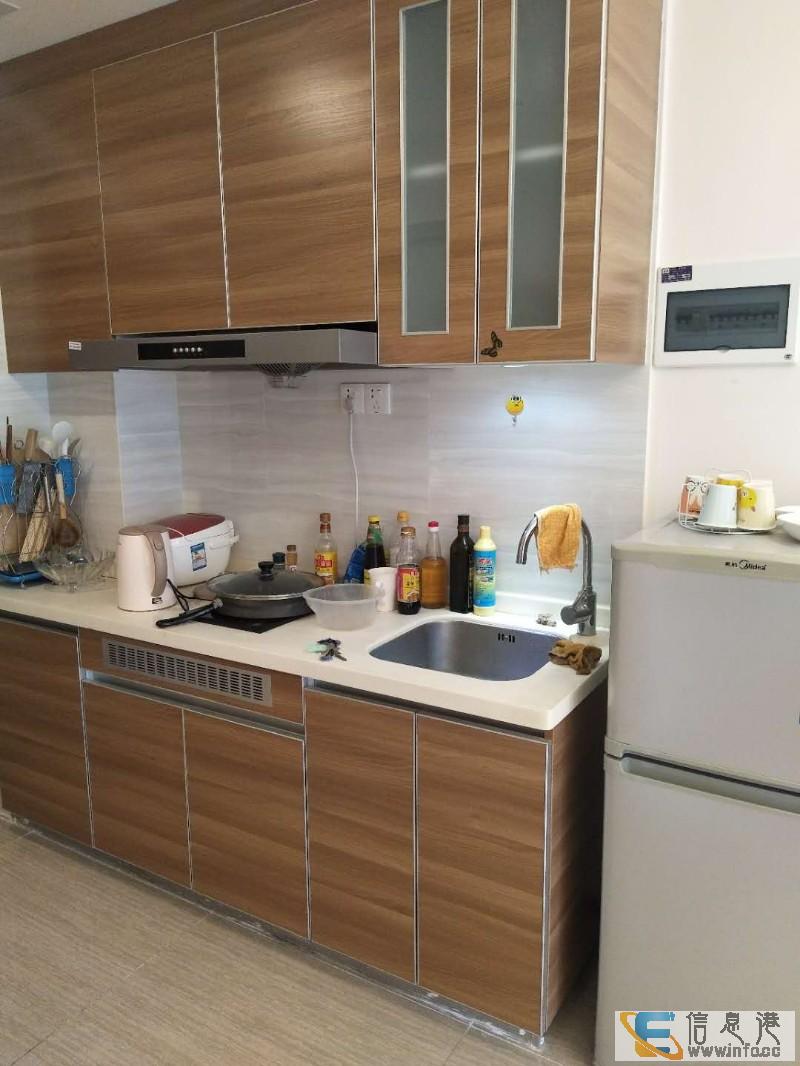 北湖 恒大帝景 1室 1厅 45平米 整租恒大帝景