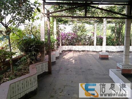精装自建房出售 拎包入住 双证齐全花园车库假山水池