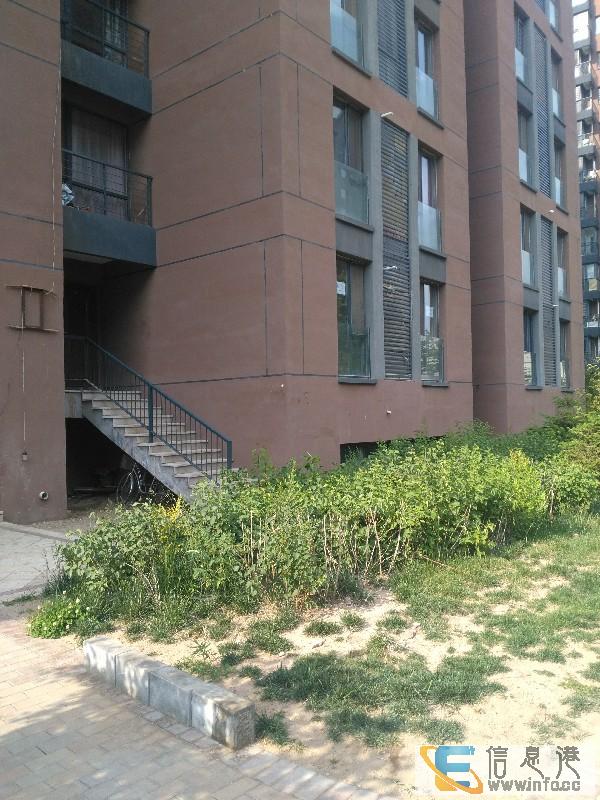 科技路石化新区两室 可日租月租