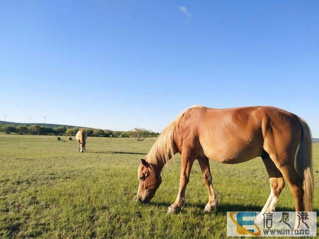 御道庄园 首付10万起 风景优美 70年大产权可贷款