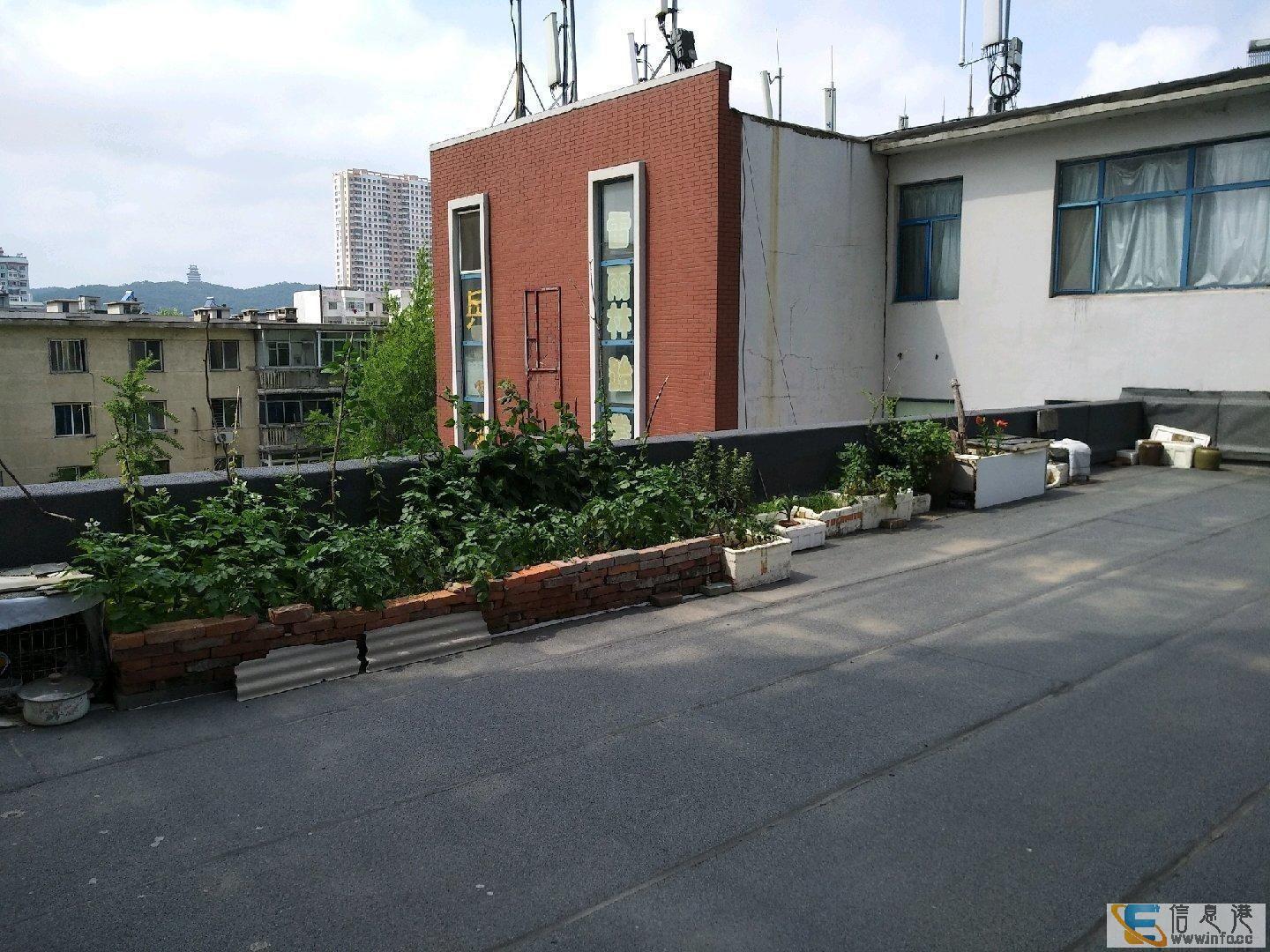 香江佳园 2室五明户型,独有二百多平大平台香江佳园