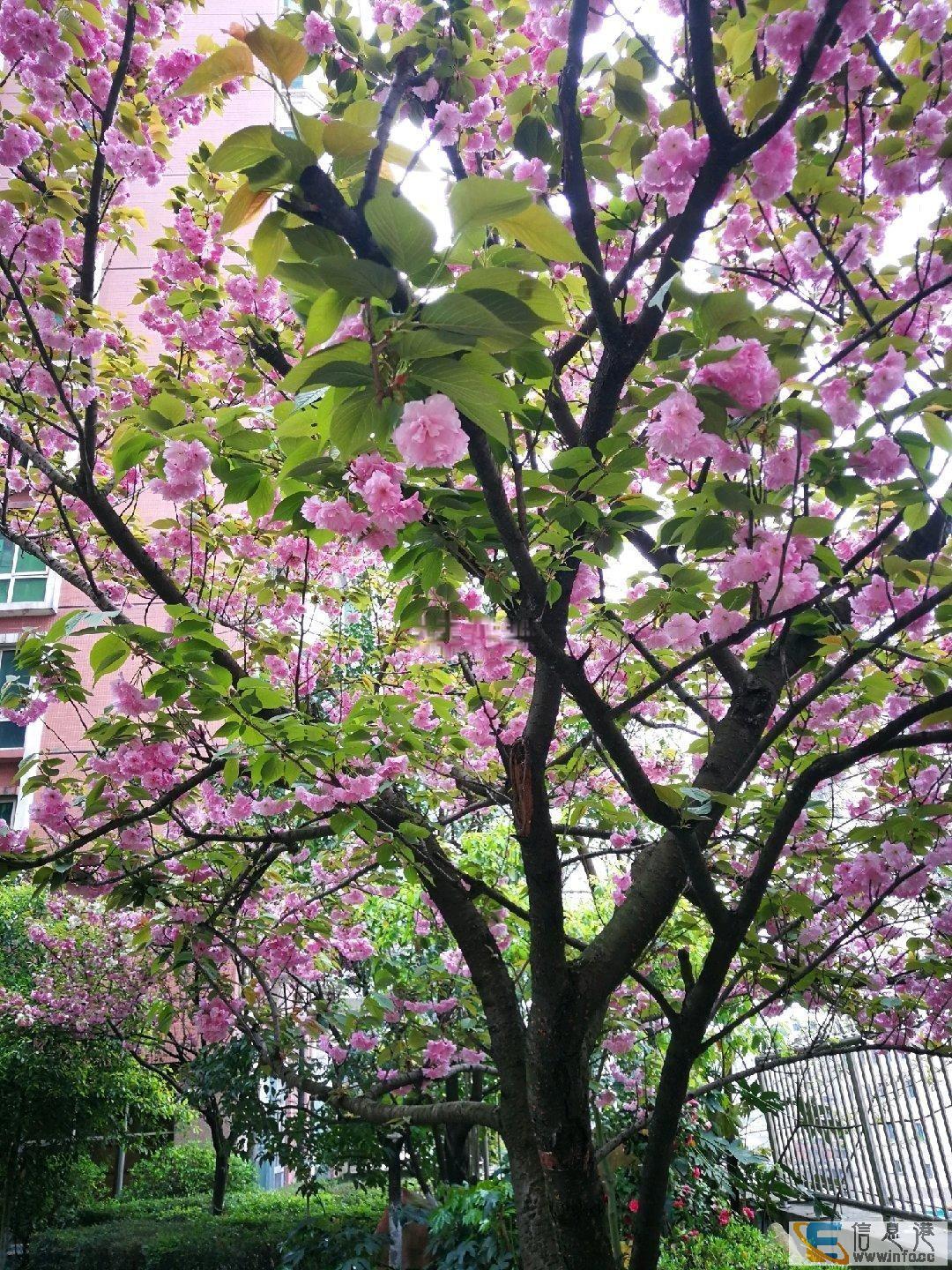 中天广场 3室2厅1卫中天广场
