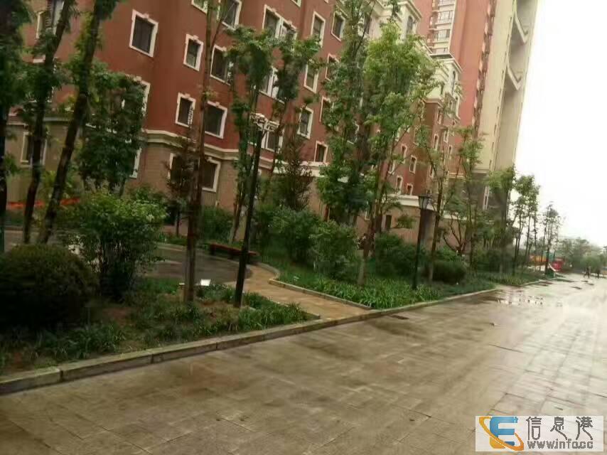 店长重点推荐 宝地城 60万 3室2厅1卫 毛坯,环境优宝地