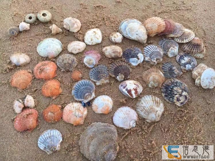 特惠一线海景房,近海别墅接团体游居家游日短租