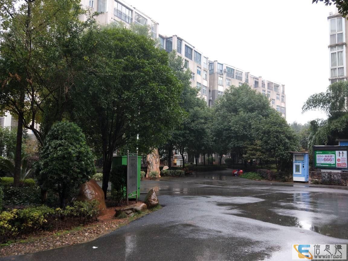 天下家园小高层电梯房 南北通透户型方正 采光通风好有钥匙天下