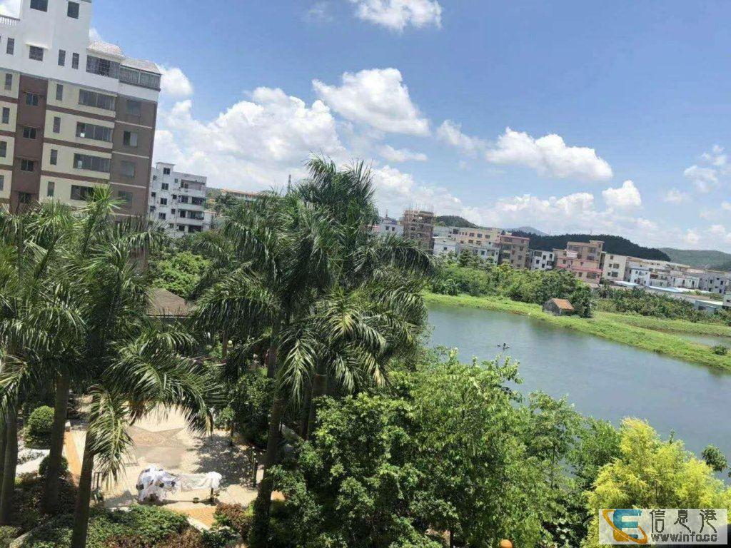 荷景湾 户型靓 南北对流 小区环境好 4800元/平米起荷景