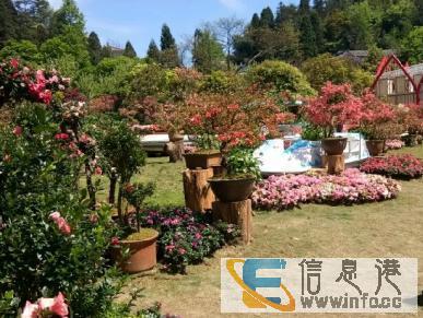 超实惠的江景房出售，靓房不多，等你来购