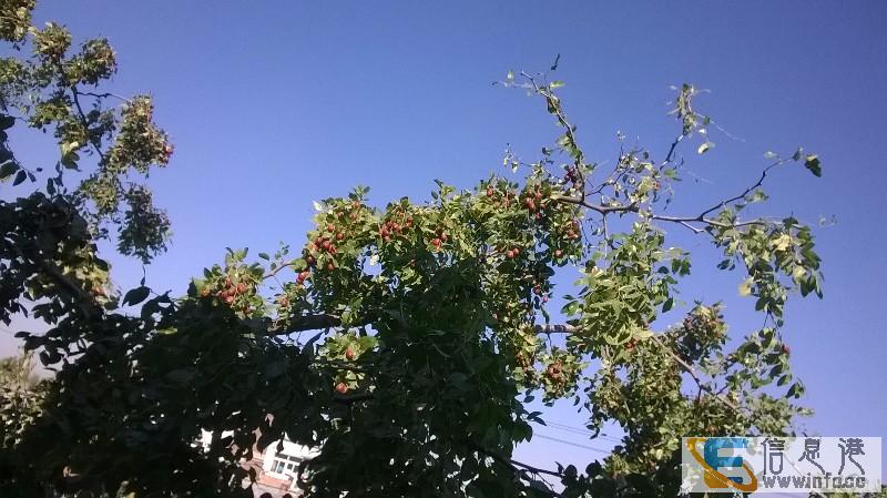 北镇平房 2室 1厅 72平米 出售