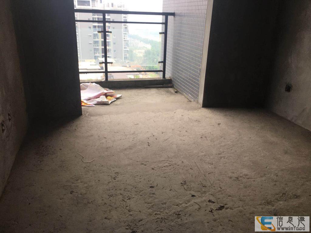 名门外滩 稀.缺顶跃 正面观江 送相同面积屋顶 南北通透名门