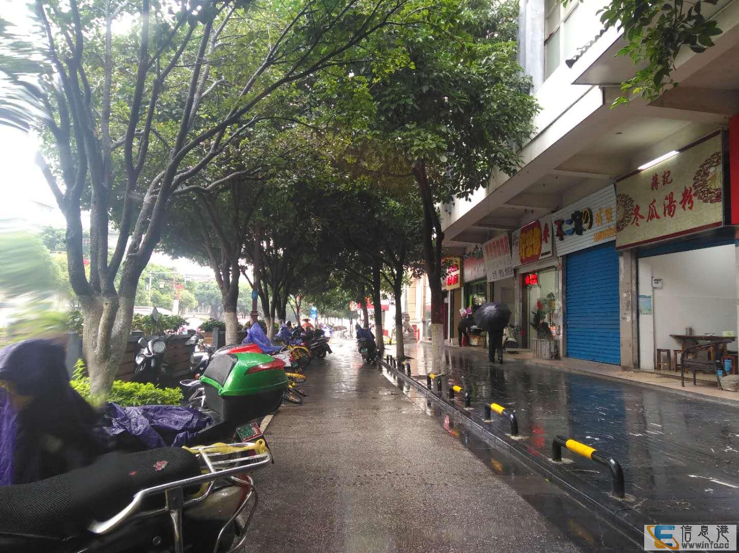 Y信义路师专大门口当街铺31平带租约3300/月售92万