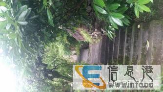 九华飞越丛林大荫山庄 5室 1厅 160平米 整租