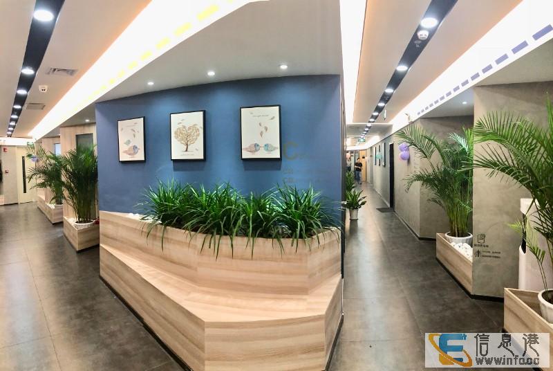 龙华大浪.商务办公室,费用全包,拎包入驻,注册挂靠