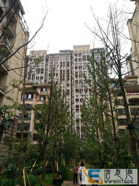 万达附近上市楼盘 上市物业公司 3室2厅 靠近清溪河湿地金科