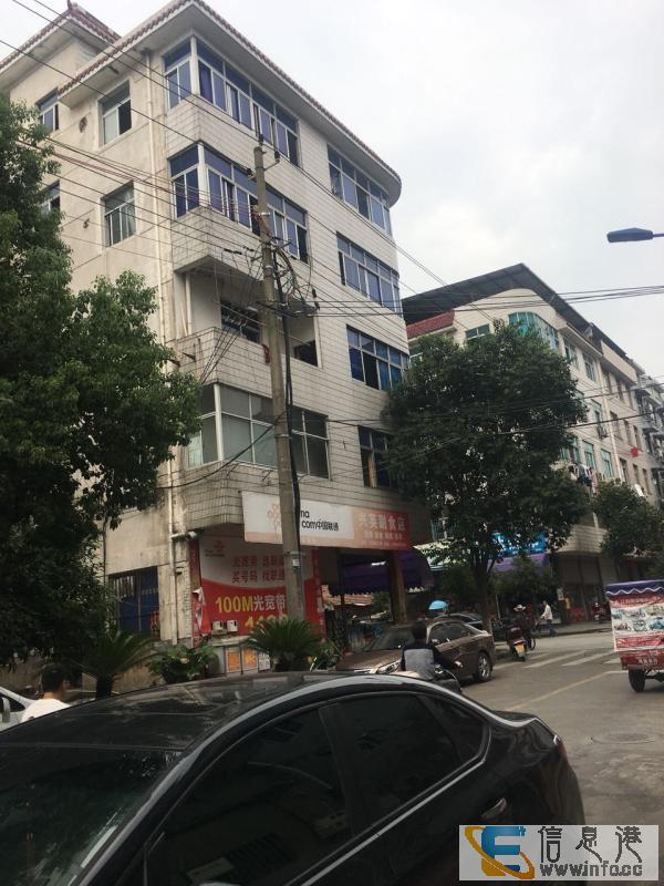 出租低层商铺和住房