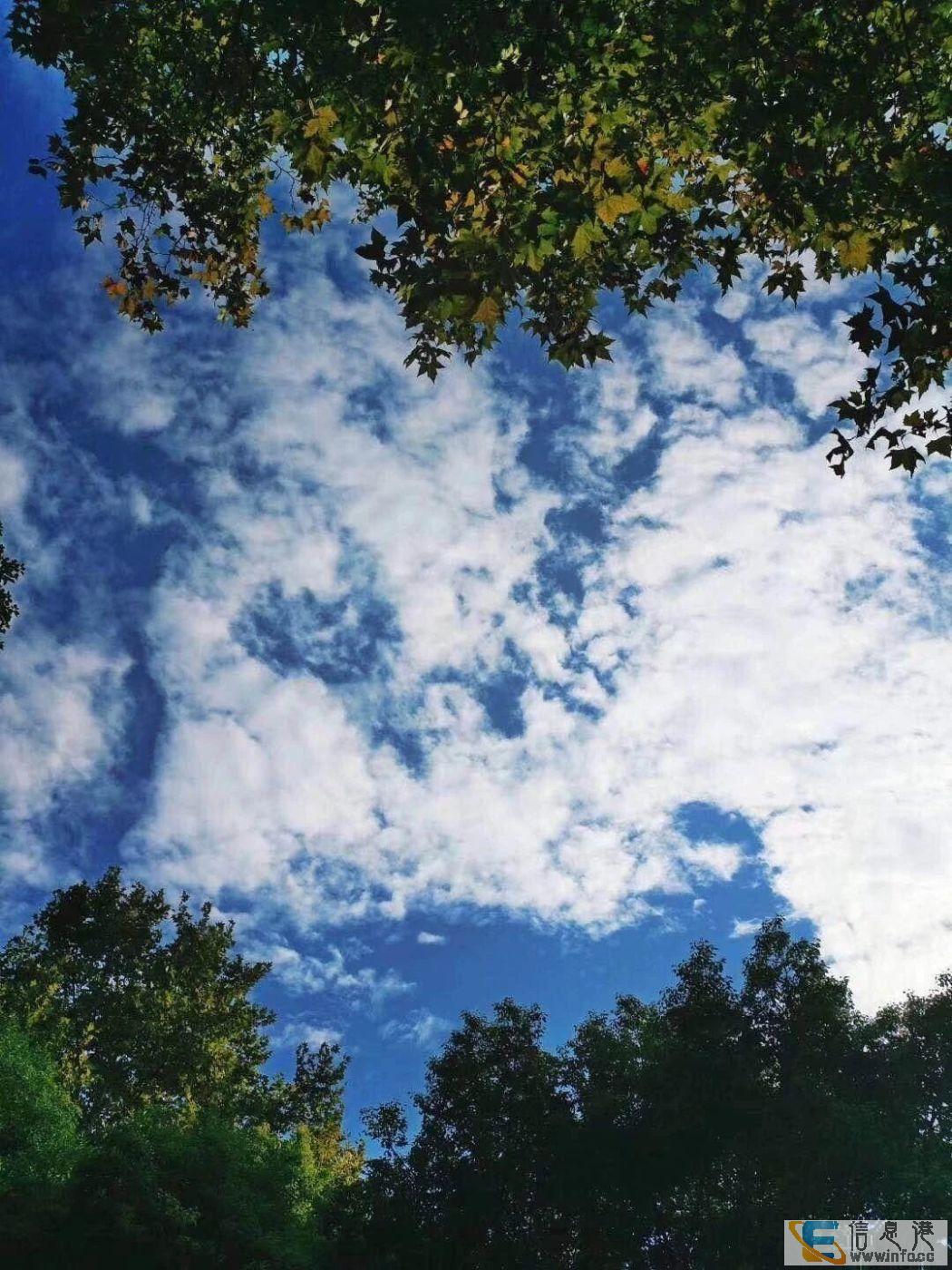 金鑫未来港 一站式消费模式 买店铺 包租坐等收钱