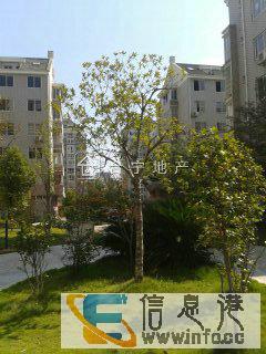 香樟花园 3房家电齐全 拎包入住香樟花园