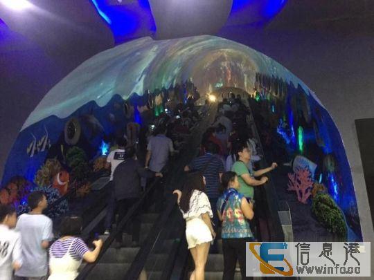 花花世界 5号馆,海洋馆 以营业 独立产权 可首付