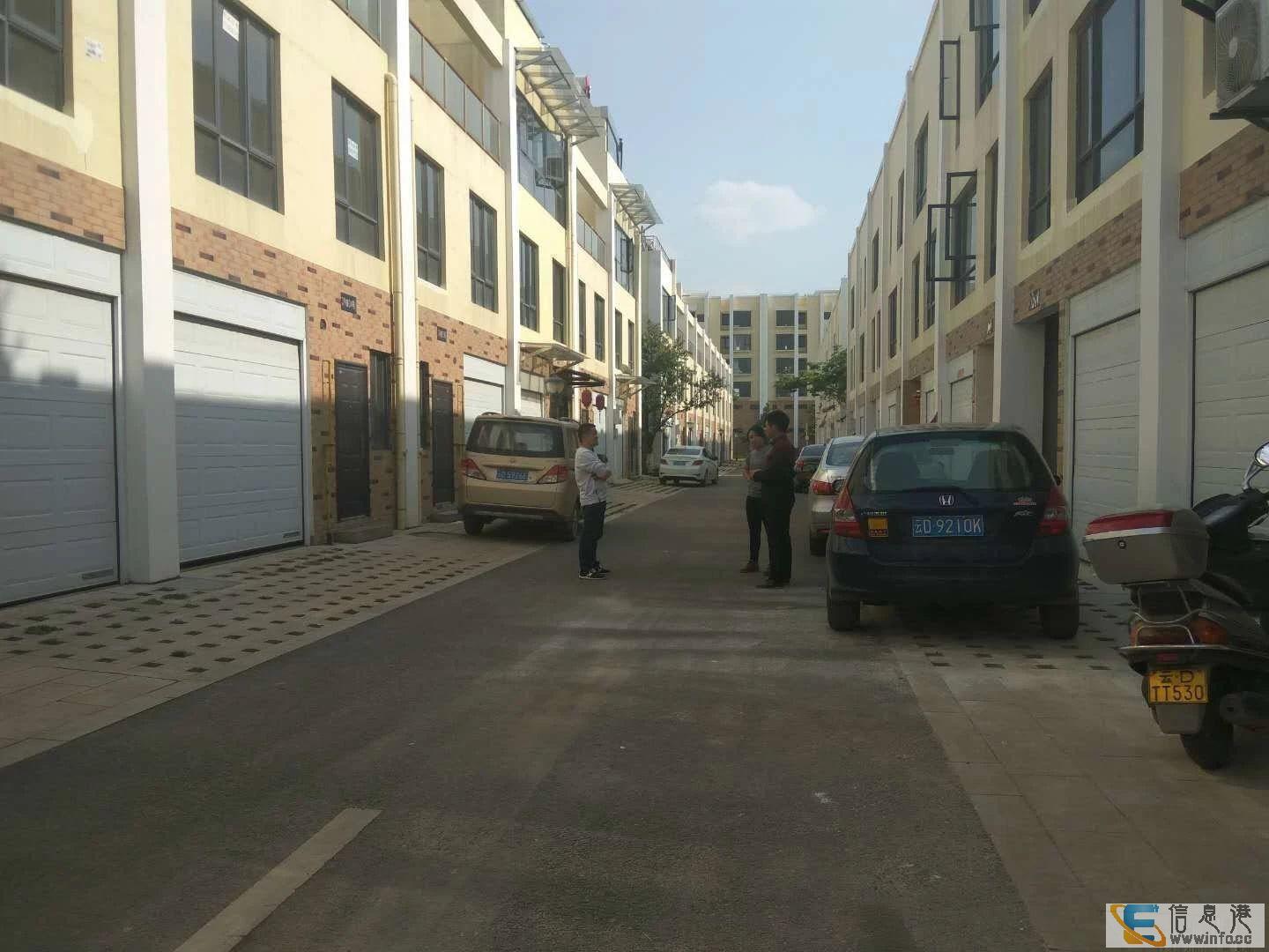 南片区 金湘九俊 288大户型 超值急售金湘九俊