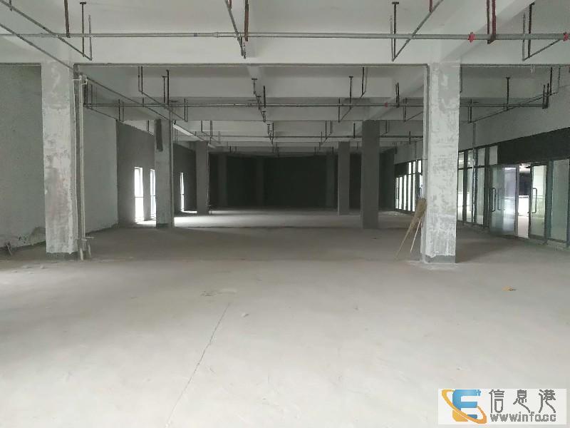 免租期优惠中 东站多户型多功能铺位产业园背景税收政策优惠