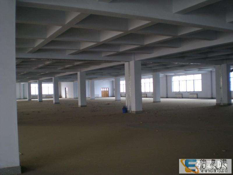 青年南路大道旁商业场地出租宾馆,酒店,健身,培训场地