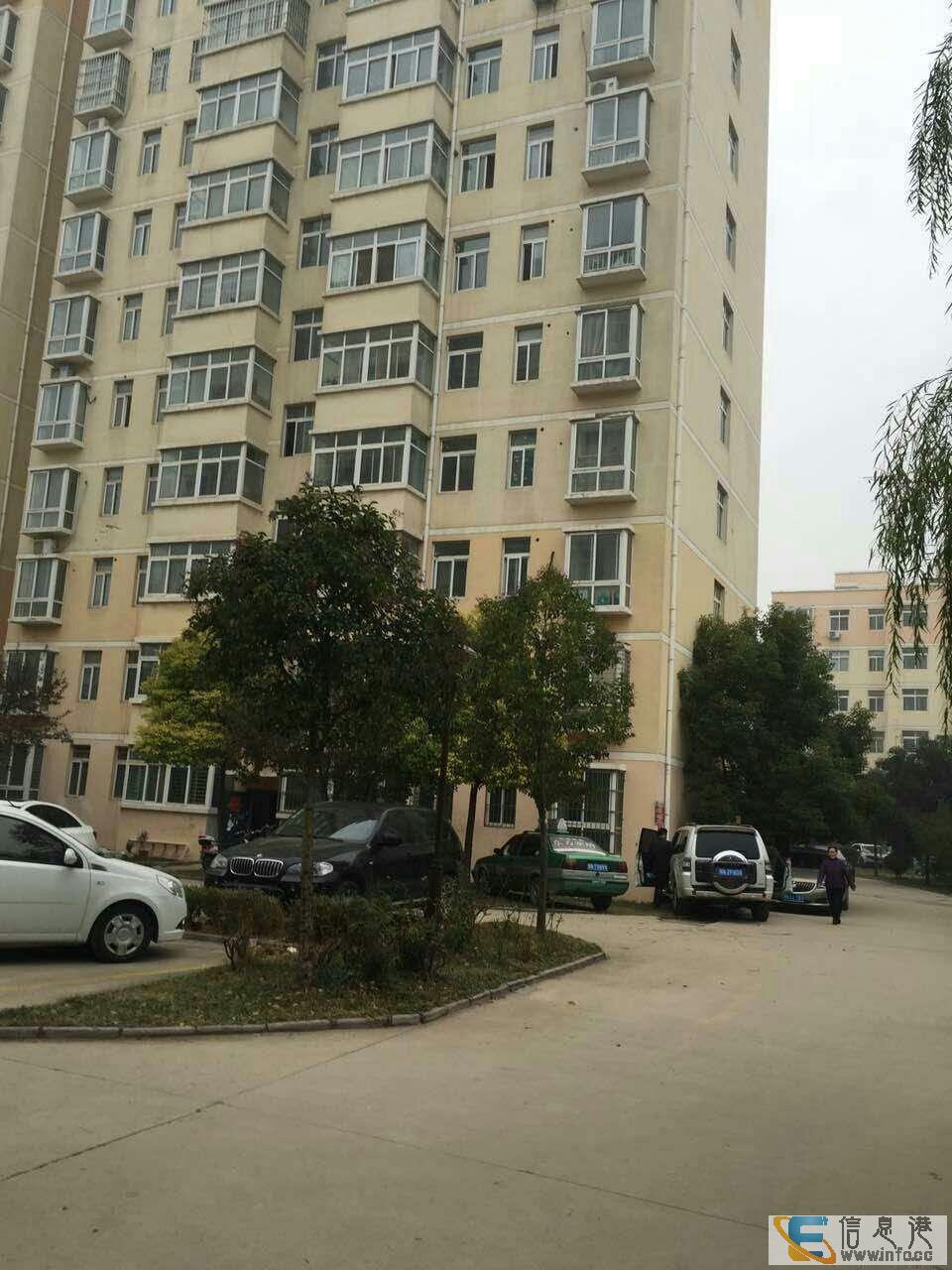 文化路 峰景仕界 精装1室40平方 南户 手续齐全随时过峰景