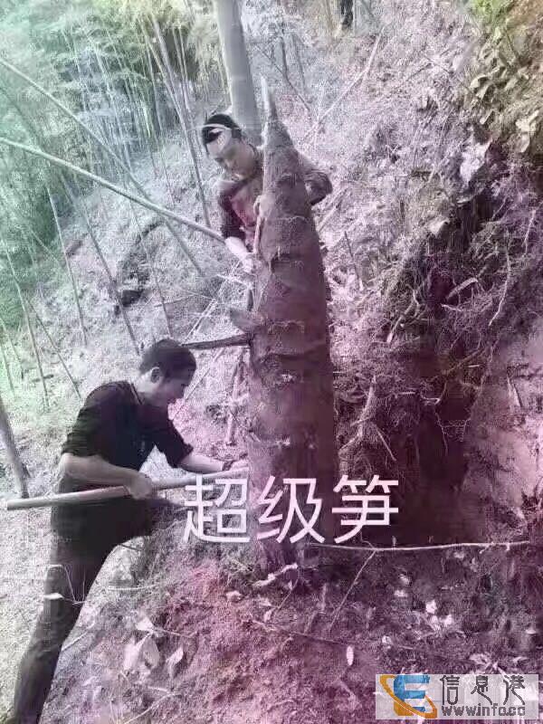 碧桂园凤凰城翠林山语电梯中层精装修证满两年至笋一套学位房碧桂