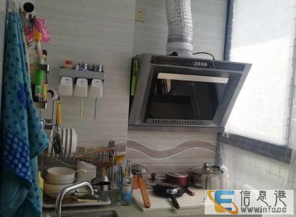 红沙旺地 旺中带静 大型小区电梯高层 总价低 税费低 鸟金色
