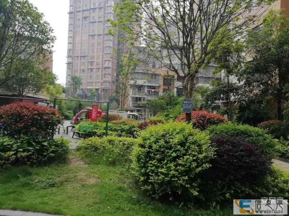 南门花园小区浅水湾2室2厅一卫价格便宜 双发浅水湾