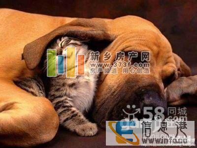 百业大厦 1室 1厅 44平米 整租百业大厦百业大厦