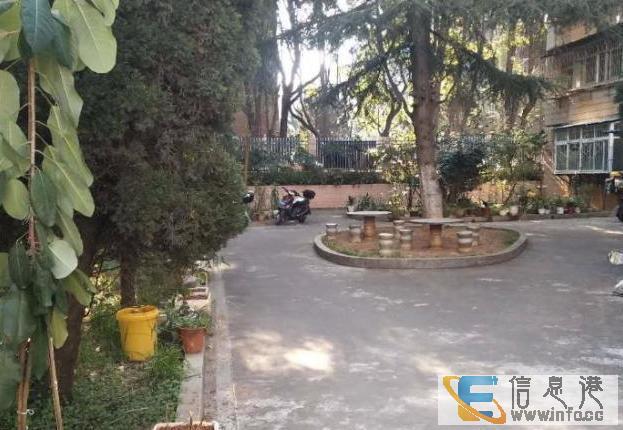 龙马大酒店旁金信花园4楼，中装3室，空房出租