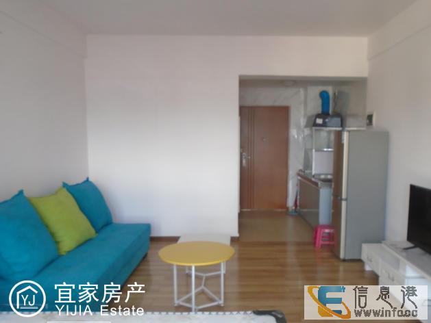 时代广场，精装单身公寓，1室1厅1厨1卫，带全套全新家电家具