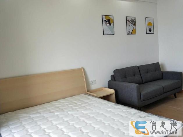 东汇城公寓,齐家私家电,可拧包入住 东汇城公寓,齐家私家电,可拧包入住