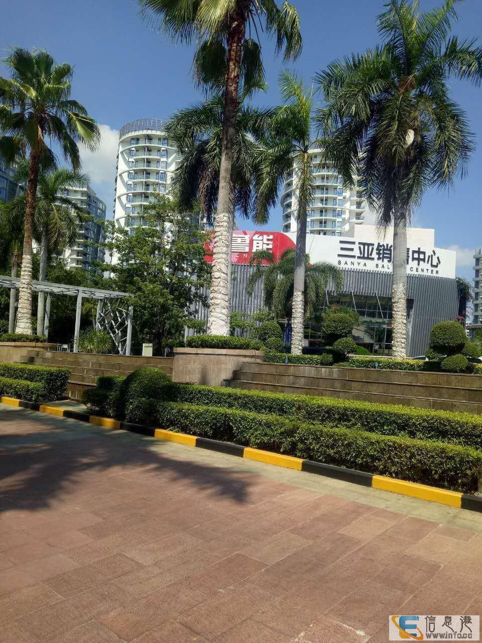 精品商铺鲁能三亚湾一层旺铺出售 狂甩超低价