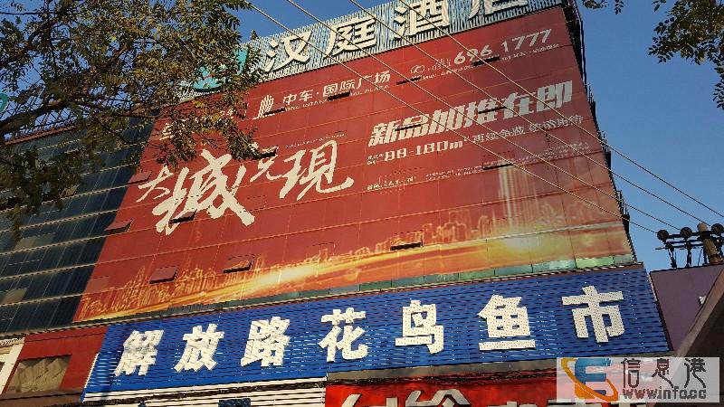 解放路花鸟鱼市商铺出租
