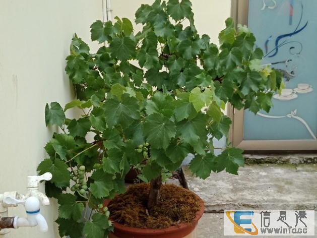 单间出租 医卫路1室0厅1卫主卧南 个人