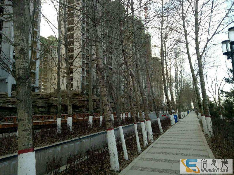 金座昕艺园 海湖高端小高层 可贷款 楼前无遮挡 立马签合