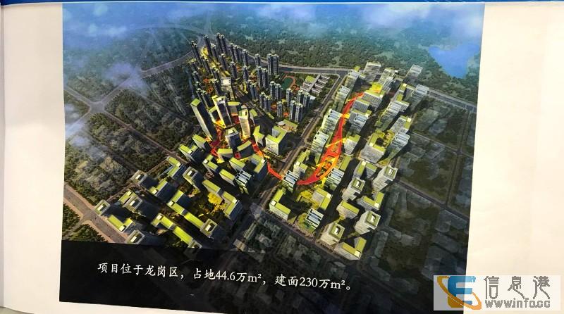 龙岗碧桂园观麓 新房红本回迁房 不限社保 无需房票买深房龙岗