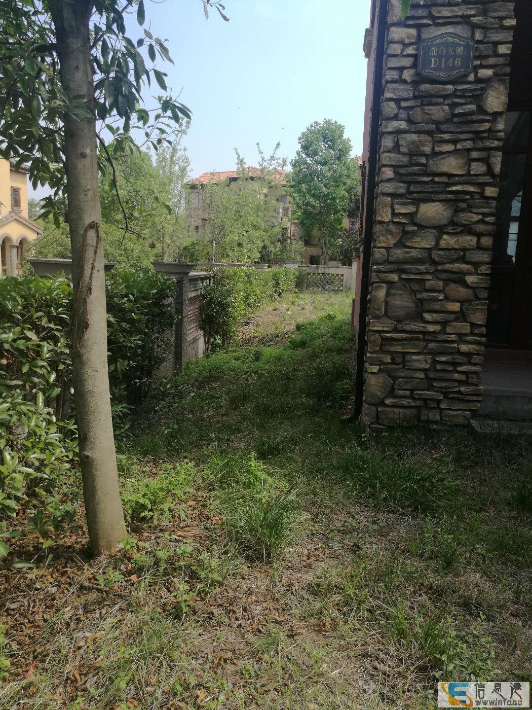 龙盘湖 双拼别墅242平送100平花园 诚心急售随时看龙盘湖