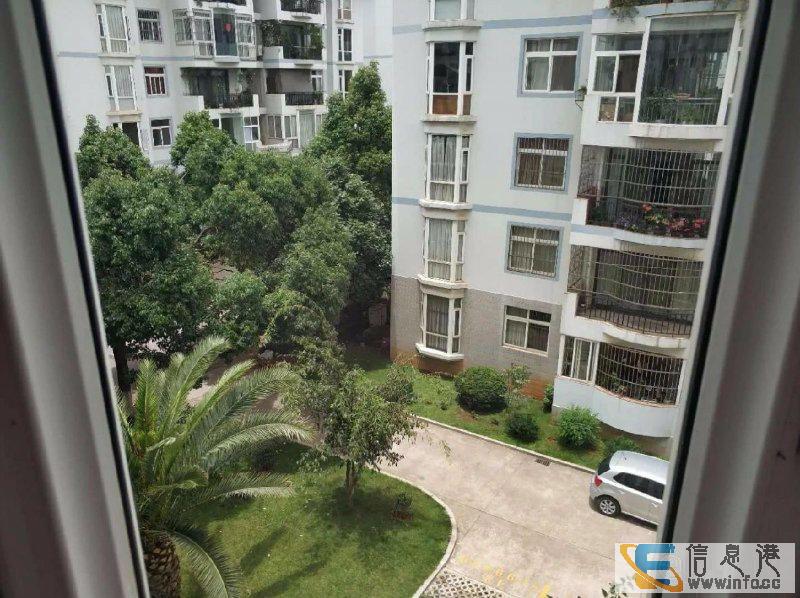 文体中心旁葫田二区 4楼150平带大车库 116万等钱急葫田