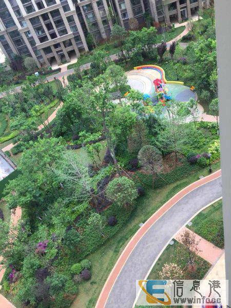 红星国际.紫郡优 质房源户型方正 采光好红星国际.紫郡