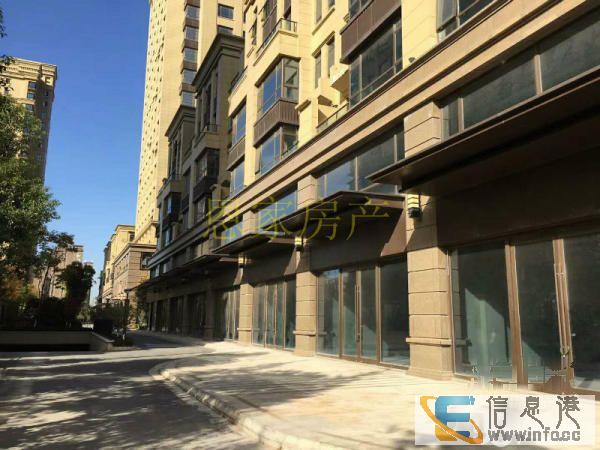 玺悦龙城沿街商铺,金龙湖畔成熟商业街