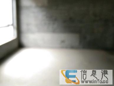 益阳碧桂园别墅2层毛坯4房花园面积超大