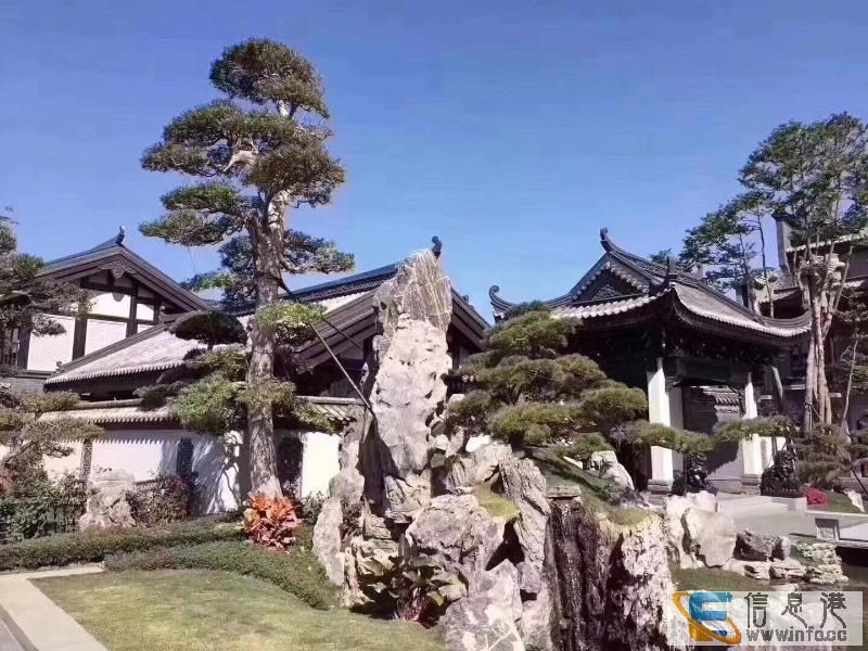 香洲埠 205平米 出售香洲埠