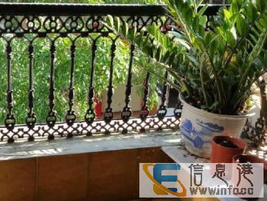 开发区私房急售 银湾居多层 带电梯 35万元中等装修