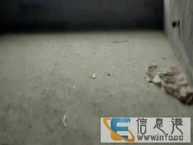 鑫成君泰四室两厅出售赠送入户花园