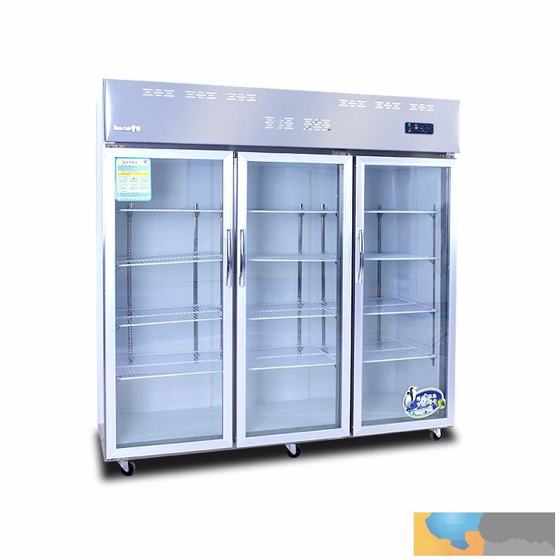 雪村冷柜1.2米厨房商用立式四门冰柜电